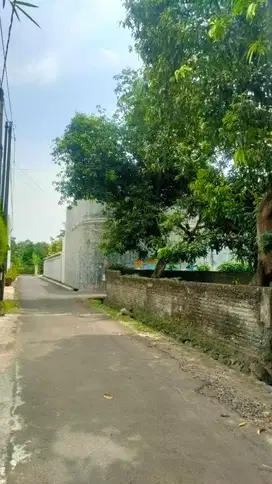 Tanah Kavling Jl. Pemuda
