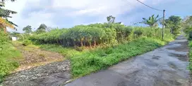 Jual Tanah HookMurah  Bunut Asrikaton Malang Dekat Exit tol