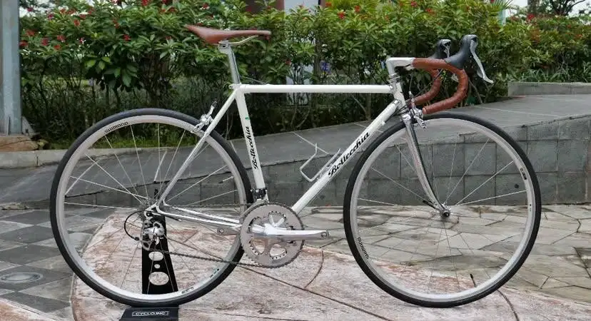 Sepeda Vintage Bottechia