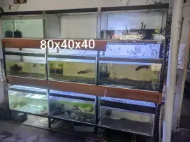 Aquarium ikan masih bagus
