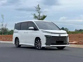 NEW VOXY TSS 2022