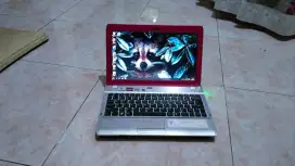 Netbook Sony Vaio normal