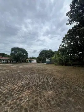 For Sale Tanah Wilayah Gunung Sindur Luas 8500m SHM
