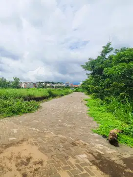 tanah area prespektif kota malang cocok untuk bangun Kos
