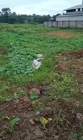 TANAH ZONA KOMERSIAL DI RANCAIYU LEGOK