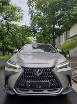 Lexus NX250 Luxury 2022