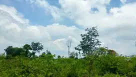 Tanah SHM Malang Merjosari – Cocok Villa, 7 Menit ke UIN Maliki