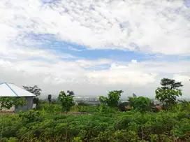 Dijual Tanah SHM Di Cileunyi Luas 240m² Dekat Pintu Tol Cileunyi