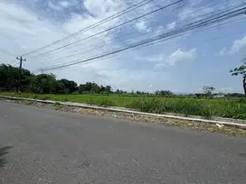Tanah Purwomartani Sleman Tepi Jalan, Harga 3 Juta-an