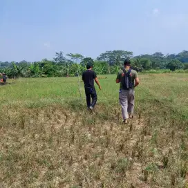 Jual cepat bu 250rb/mter cariu pasar lama