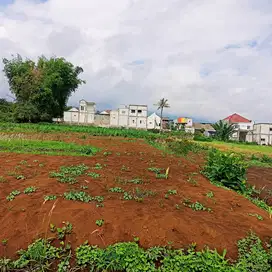 Dijual Tanah Murah Sumbersekar Malang Kawasan Perumahan