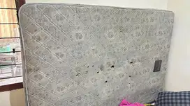 Springbed Dippo