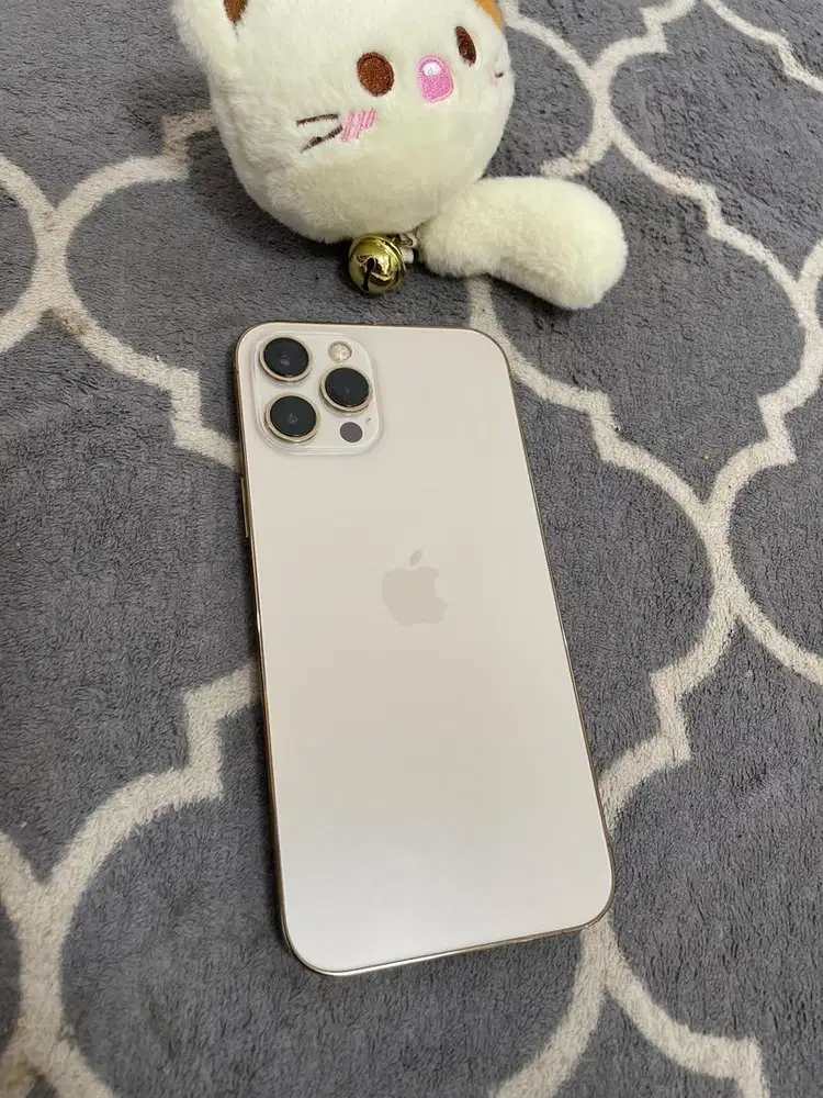 IPHONE 12 PRO MAX 256GB MULUS