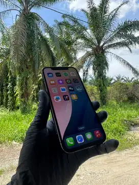 IPHONE 12 PRO 256GB, GRAPHITE - ALL OPERATOR - INTER (LENGKAP)