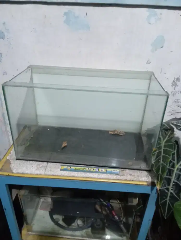 Aquarium 60 30 35