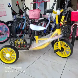Sepeda r3 Aviator