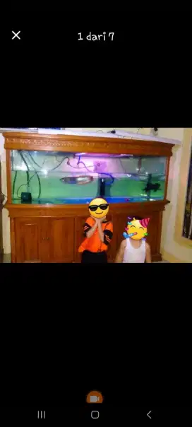 Aquarium jual murah