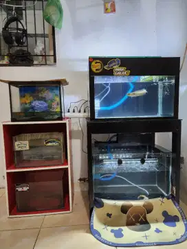 Jual Aquarium atau Akuarium dan ikan channa dll