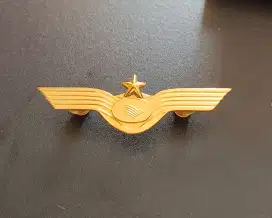 Flight attendant badge