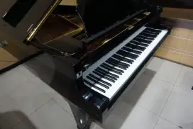 Grand Piano G5 - Goldplate. Made In Japan