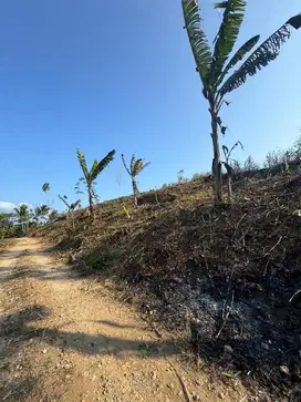 Tanah malang 25 ribu luas 3.3 hektar