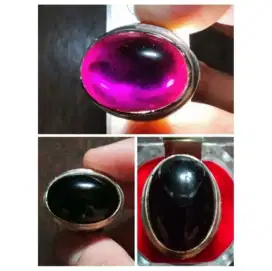 KECUBUNG WULUNG KALIMANTAN.