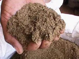 MBM Tepung Daging & Tulang Bahan Pakan Unggas / Penelitian
