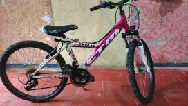 Sepeda CTM Ring 24
