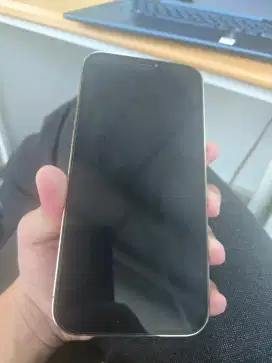 iphone 12 pro max 128 ex ibox