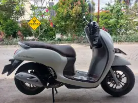 (DP 800 Rb)‼️ Scoopy Prestige Keyless Putih Murah 2023 Cash & Kredit