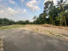 Tanah pekarangan nyaman dan asri, View Sawah. 5 menit exit Tol Kalasan