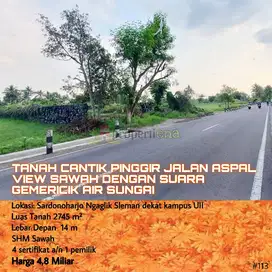 TANAH CANTIK PINGGIR JALAN ASPAL VIEW SAWAH