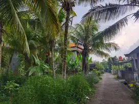 tanah perumahan  murah dekat kota tabanan bali