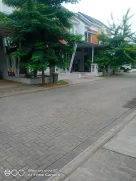 Dijual Cepat Rumah Renovasi Siap Huni di Green Ara Cluster Albasia