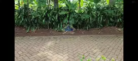 Dijual Tanah Di Jatake, Legok, Tangerang