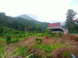TANAH KEBUN 3 MENIT WISATA TAMAN BOUGENVILLE GUNUNG PUNTANG