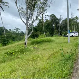 di jual tanah penebel tabanan sepi tenang sejuk