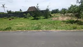 400 JUTAAN: Tanah Dekat UGM Jogja, Dalam Ringroad