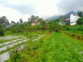 TANAH KEBUN SHM DEKAT WISATA TAMAN BOUGENVILLE GUNUNG PUNTANG