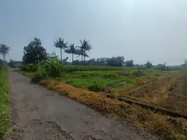 View Hamparan Sawah; Tanah Langka Cocok VIlla Kaliurang