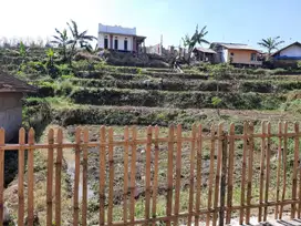Tanah Luas Asri di Ciwidey Kabupaten Bandung