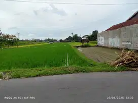 MURAH STRATEGIS TANAH SAWAH di Jakal Km. 7 Yk
