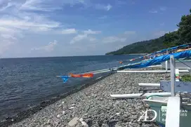 FREEHOLD ABSOLUTE BEACHFRONT LAND IN AMED (33.50 ARE)