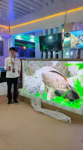 TV SMART SAMSUNG 98 Q80C HDR 4K