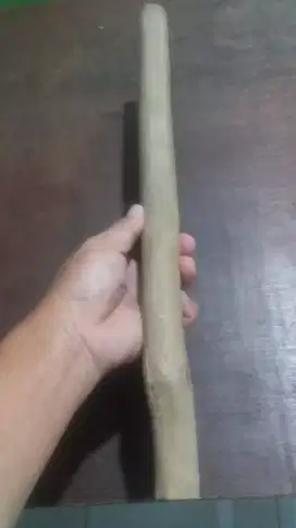 kayu cendana wangi asli galinya  dari NTT