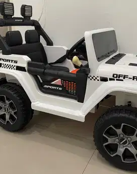 Mobil Aki Rubicon