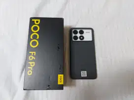 POCO F6 PRO  16/1TB