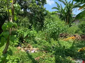 Tanah di Tinggar Ampenan dekat jalan Adisucipto