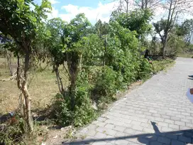 Tanah 9,9 Are View Patung GWK Dekat Jl Bali Cliff Ungasan