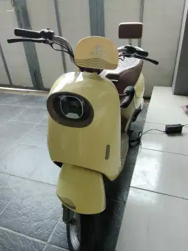 Dijual speda listrik
